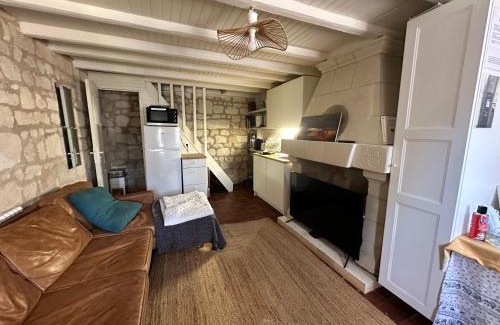 Savigny-en-Veron Maison | Petite Maison avec jardin privée