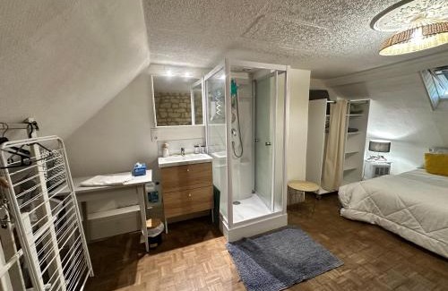 Savigny-en-Veron Maison | Petite Maison avec jardin privée