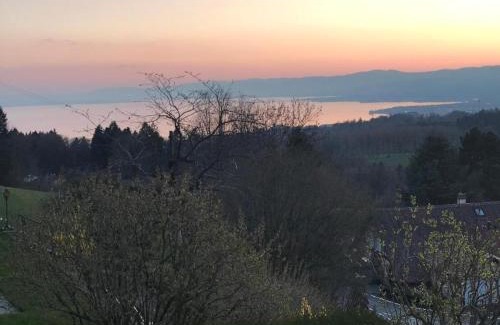 Belmont-sur-Lausanne Maison | Petite maison à l'orée des bois vue magnifique sur le lac zenitude et plénitude