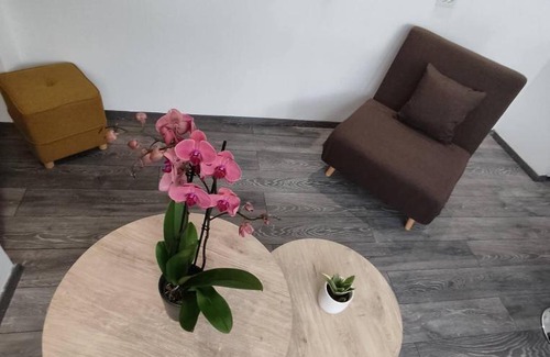 Aigio Appartement | PETMEZA APARTMENT 1 Aigio City F
