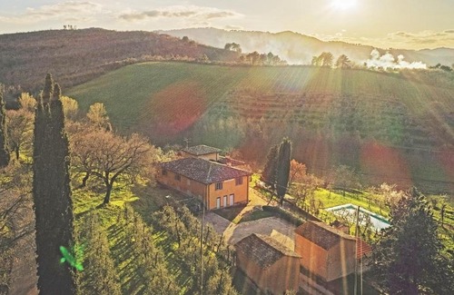 Bucine Maison | Petrolo
