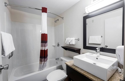Woburn Maison | Pets Stay Free! 2 Family-Friendly Units, FREE Parking, Minutes to Stone Zoo!