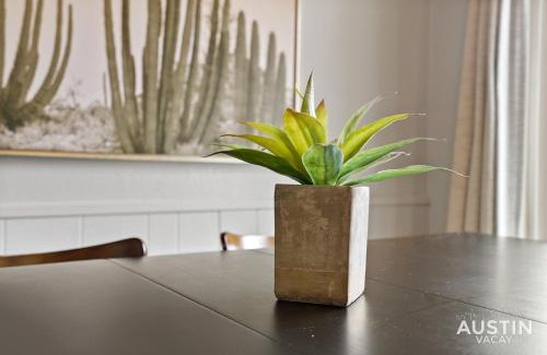 Zilker Appartement | Pets Welcome Great Space Backyard Near Zilker