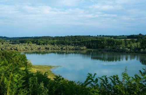 Peyrusse-Grande Maison | Peyrusse Peace Pool & Charm