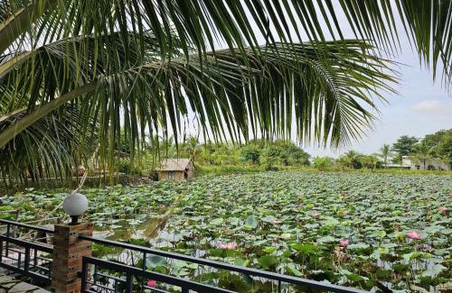 Tan Phu Cabine | Phú Điền Homestay