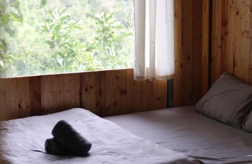 Da Lat Maison | Phong Lu Homestay Dalat