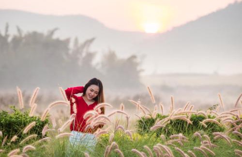 Phu Ruea Station Balnéaire | Phuruakeeree Resort