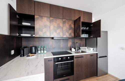 Lodz Appartement | Piłsudskiego Central Apartment