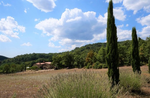 Massa Marittima Appartement | Pian dei Carpini - Laura by Interhome