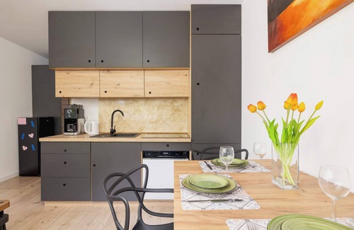 Katowice Appartement | Piastów 5 Katowice | Comfy Apartment | Balcony | Smart TV | Silesian Park, Zoo