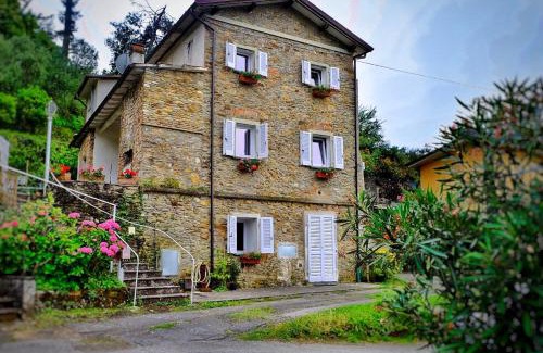 Pietrasanta Maison | Pietrasanta