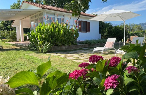 Pietrasanta Cottage | PIETRASANTA - VERSILIA ★★★★★ Enchanting Cottage by the sea