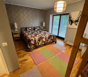 Otepaa Appartement | Pikk 45