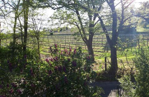 Cserszegtomaj Appartement | Pilikán Apartments - Park, Agroturism, Vineyard & farm