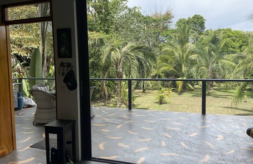Langostino Maison | Pilon de Pavones Plush Hideaway