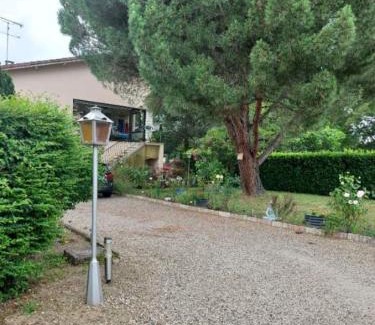 Marmande Appartement | Pin parasol