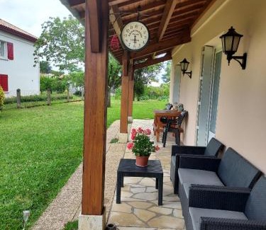 Marmande Appartement | Pin parasol