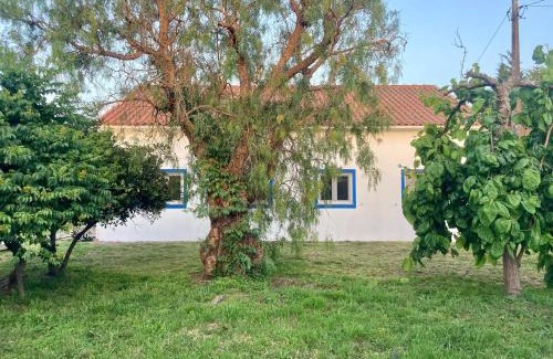 Odemira Maison | Pine 3 Inn, holiday home, activities and more