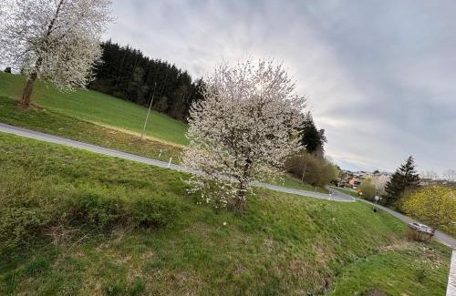 Eschenbach in der Oberpfalz Appartement | Pine Retreat - near Rußweiher