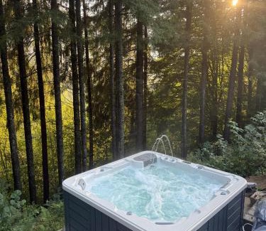 Zavoi Chalet De Ski | Pine Hill 2