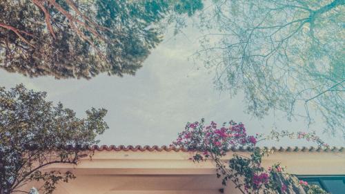 Faro Lit Et Petit-Déjeuner | Pine House - Faro Airport, Beach and City Center