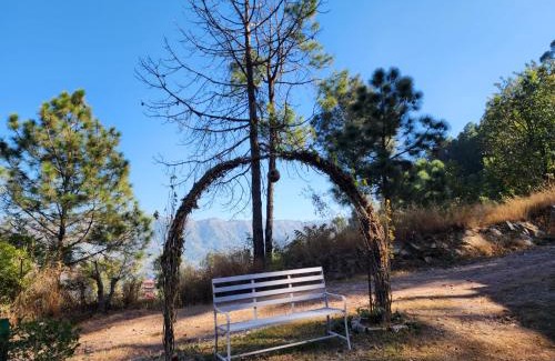 Kuthar Autre | Pine Valley Resort