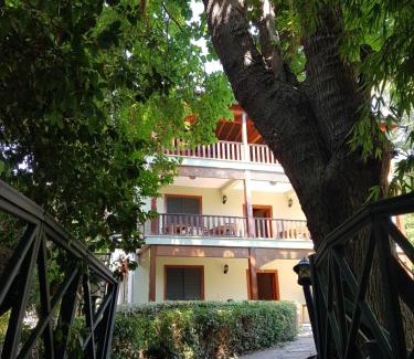 Cirali Hôtel | Pinea Pansiyon