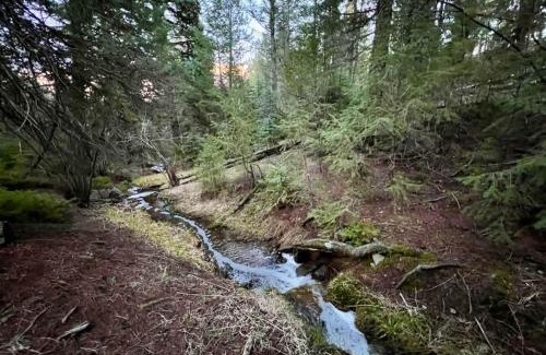 Evergreen Meadows Maison | Pinebox at Evergreen Modern 20Acres -Serene-Creek