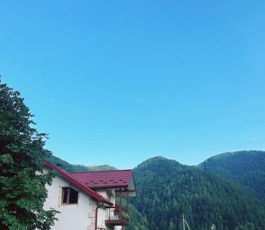 Dobrovelychkivka Appartement | Pink House Karpaty