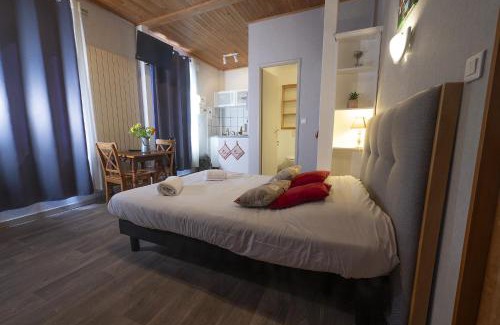 Riquewihr Appartement | PINOT GRIS - Charmant studio au cœur du vignoble - parking gratuit