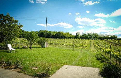 Kaptalantoti Maison | Pinot Gris House