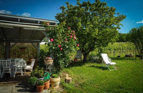 Kaptalantoti Maison | Pinot Gris House