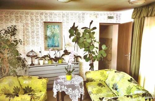 Heviz Maison | Piroska Villa