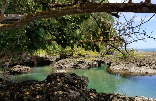 Cahuita Hôtel | Piscina Natural on the Sea