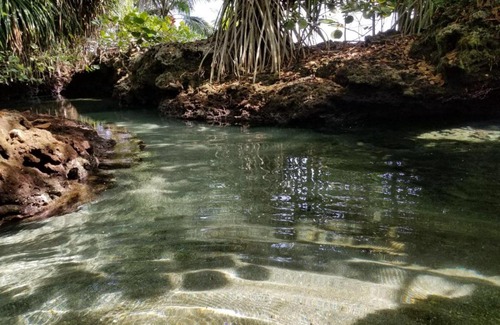 Cahuita Hôtel | Piscina Natural on the Sea