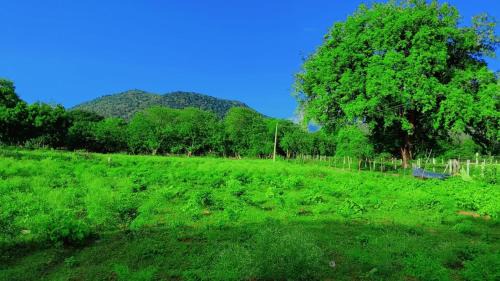 Anchetti Maison | Pithamagan river side cottage