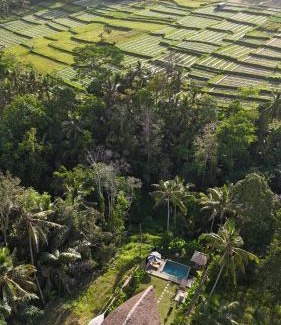 Abiansemal Hôtel | Pitu, a Punggul Village Escape