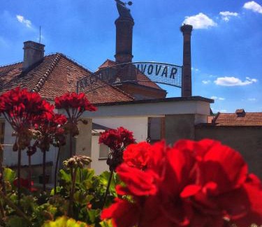 Dalesice Hôtel | Pivovarský hotel
