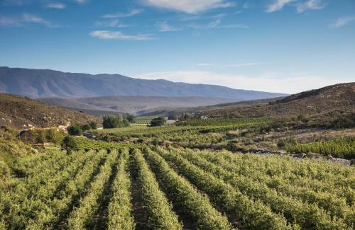 Barrydale Maison | Plaas Wegbreek