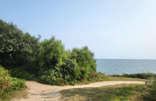 Beg-Meil Appartement | Plage des Dunes - Grand Studio ouvert avec 1 mezzanine et 1 alcôve