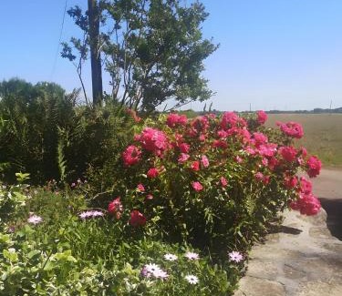 Mahalon Maison | Plain-pied En Rez-de-jardin
