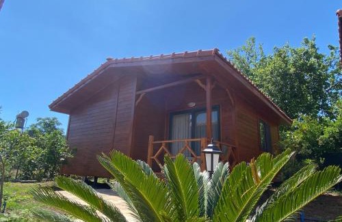 Cirali Maison | Plaj Hotel