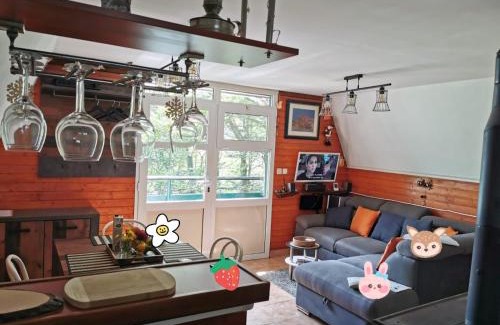 Zlobin Chalet De Ski | Planinska vikendica LUCIJA