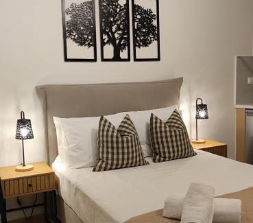 Spilion Appartement | Platanos View Studio