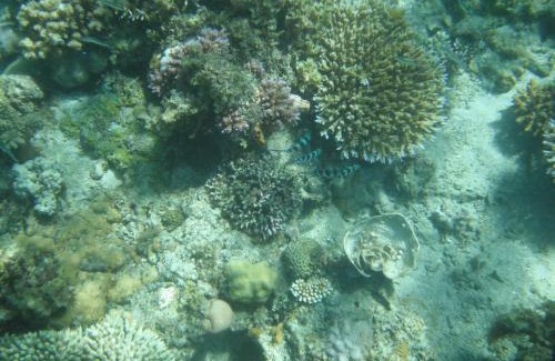 El Nido Station Balnéaire | Playa Encantada Beach Resort