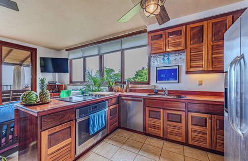 Dominical Maison | Playa Guapil near Dominical 25 Acre Estate - Amazing Ocean Views & Wildlife!!