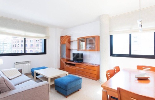 Hostafrancs Appartement | Plaza España Apartment