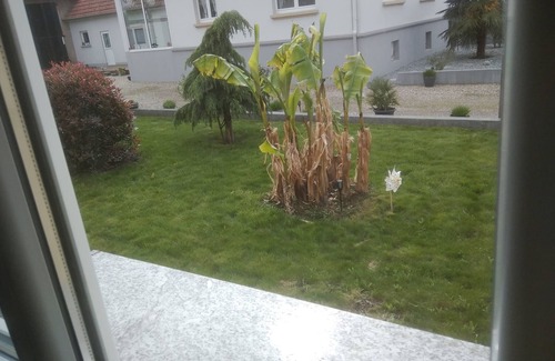 Schleithal Appartement | Pleasant & atypical apartment - renovated, wifi, fitness room, large garden