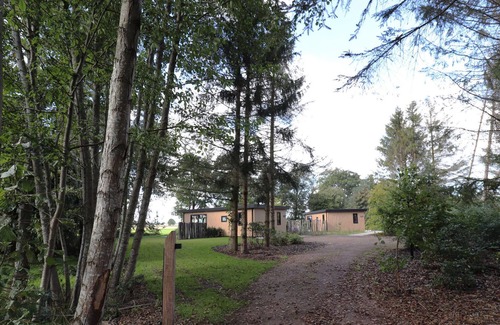 Dalerveen Maison | Agréable maison de vacances à Dalerveen avec jardin