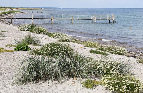 Hov Maison | Pleasing Holiday Home in Syddanmark near Sea